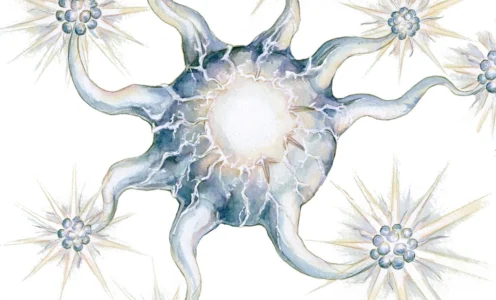 Creatures of Creation’s Forge