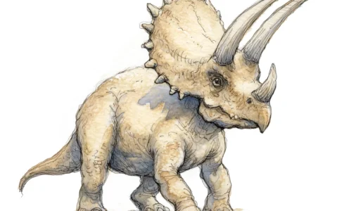 Bestiary of Pangaea